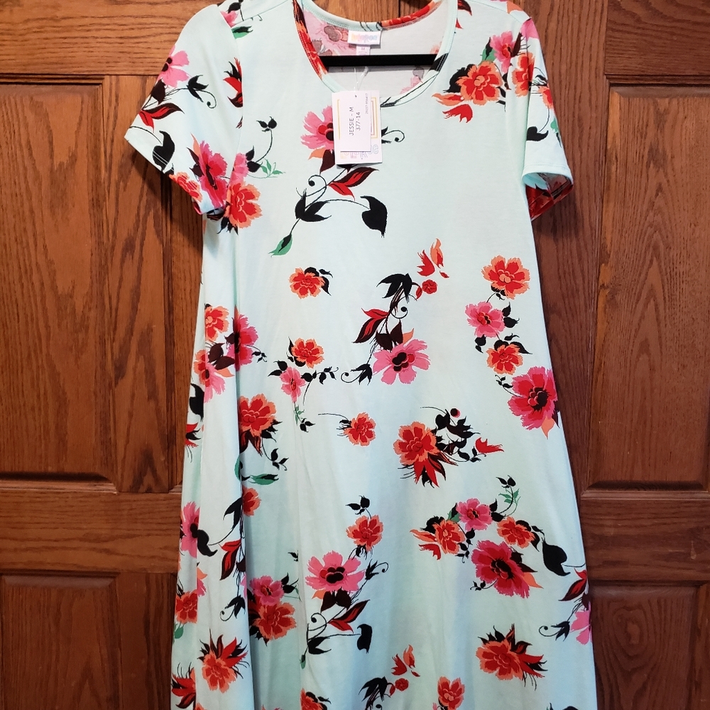 5 pieces of LuLaRoe dresses, shirts and tank